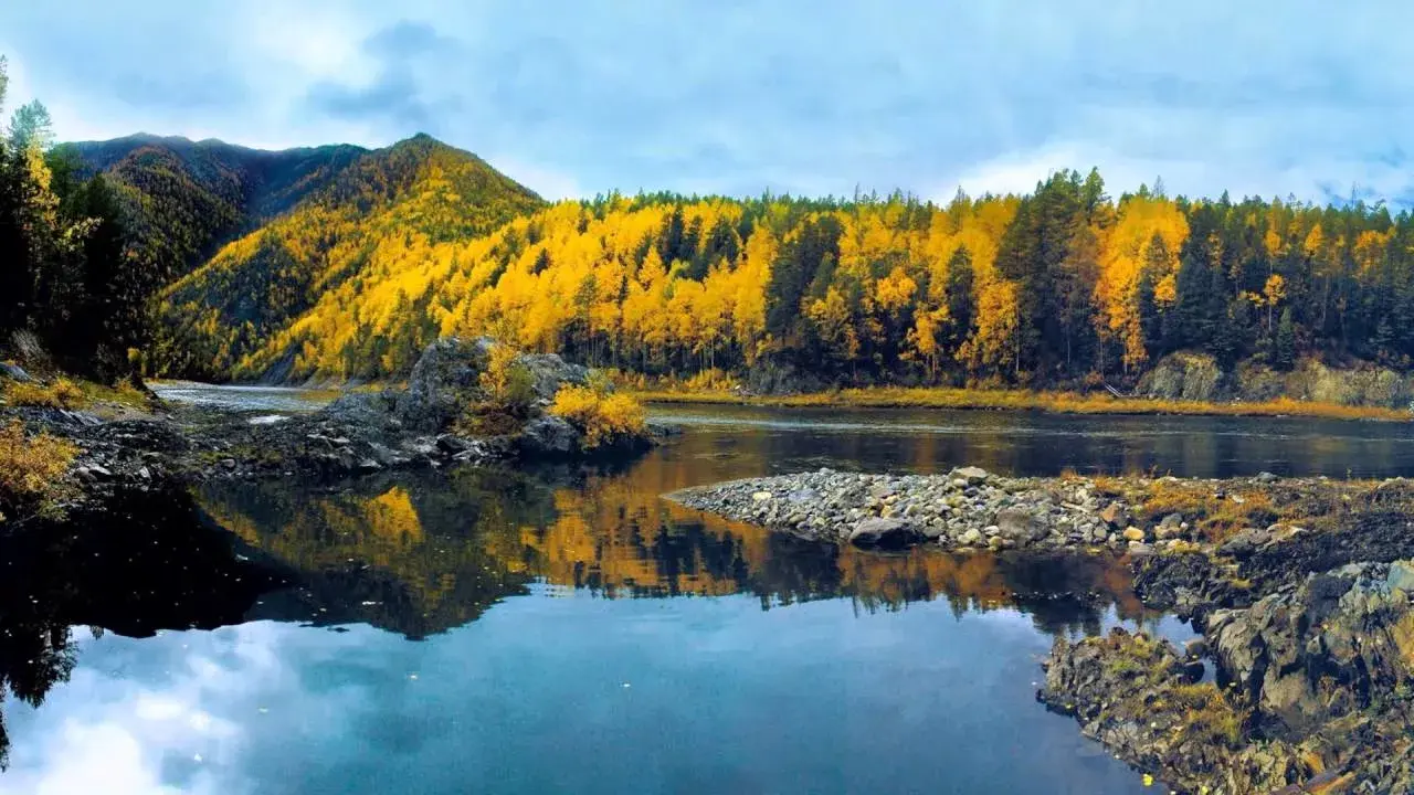 Природные богатства Сибири: нефть, газ и лесные массивы