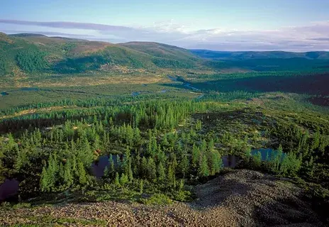 Природные богатства Сибири: нефть, газ и лесные массивы