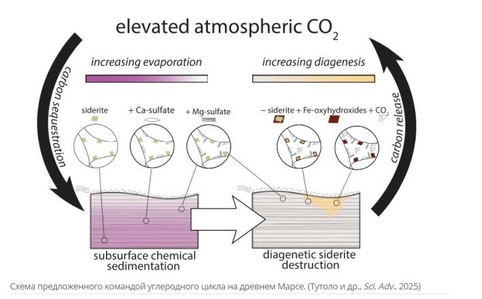Curiosity обнаружил первые свидетельства углеродного цикла на древнем Марсе
