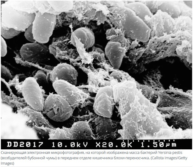Эволюция человека продолжается, тому есть доказательства