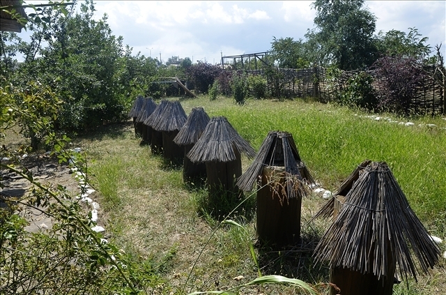 Интересная экскурсия. Выставочный комплекс "Атамань