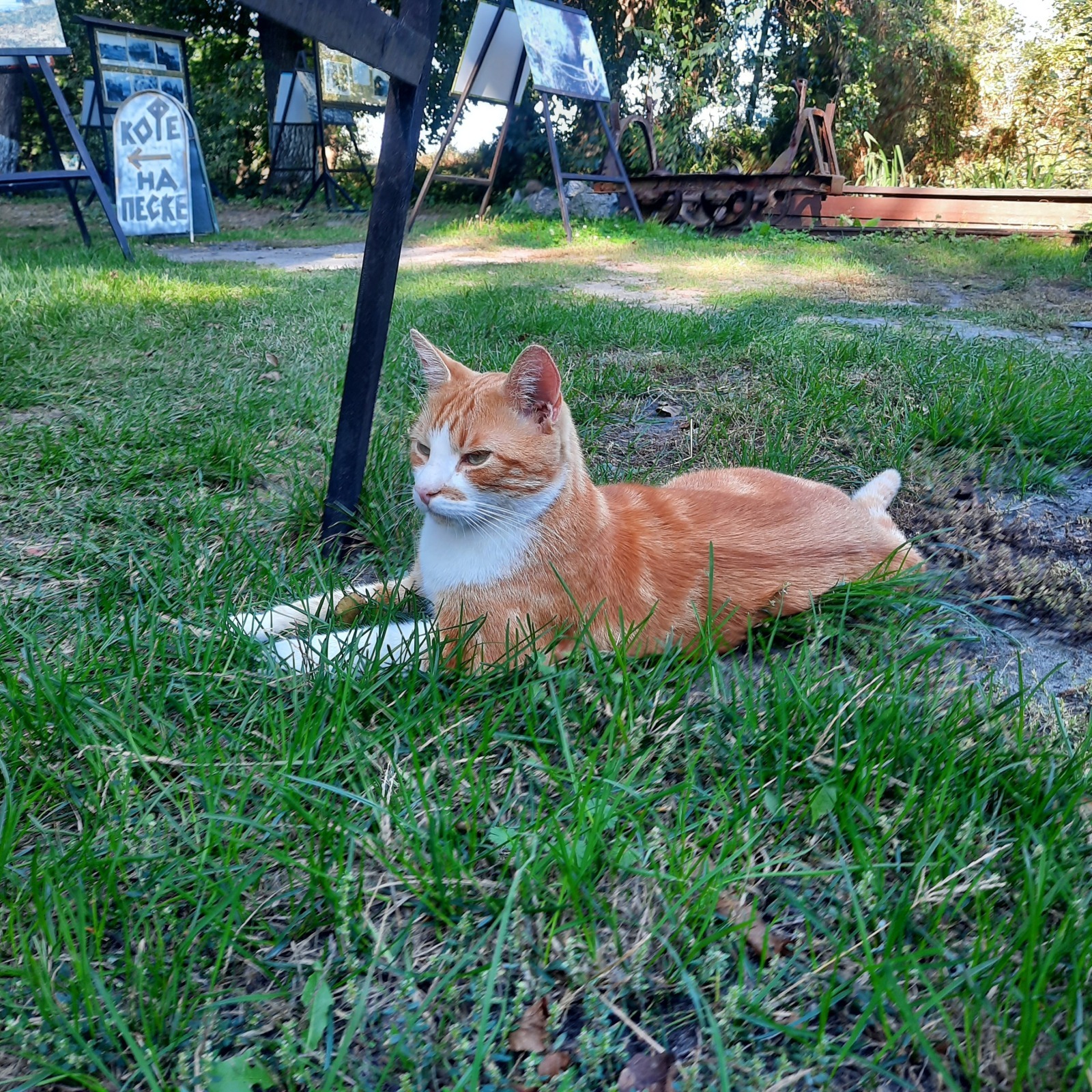 "Женщина, я подарок бабушке ищу. А у нее размер - как у вас". Или еще раз о мошенниках.