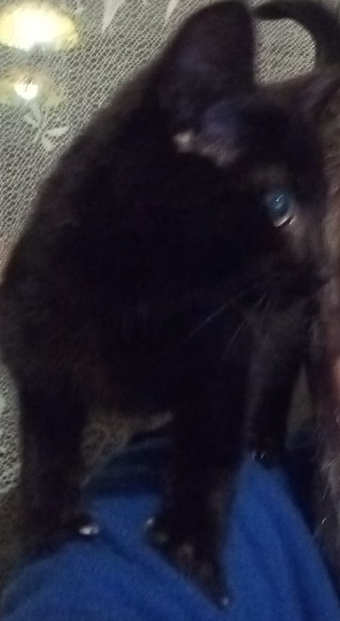 Деревня под защитой. Часть 1.