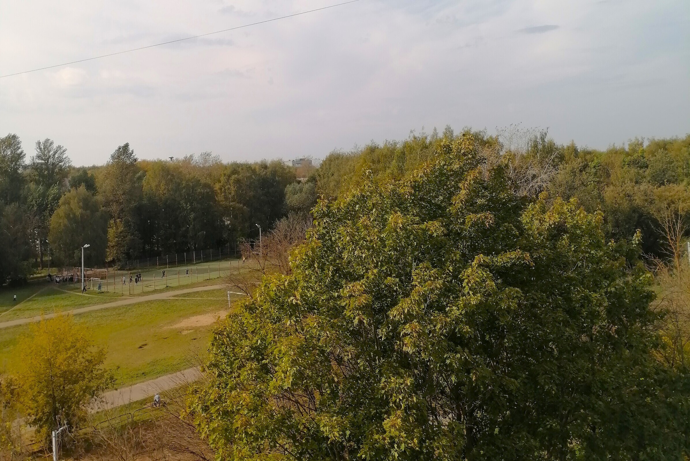 Сдавать или не сдавать? Надо знать, кому сдавать!