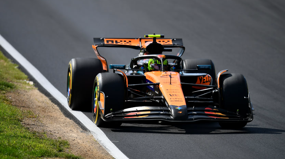 Статистика чемпионского сезона Норриса