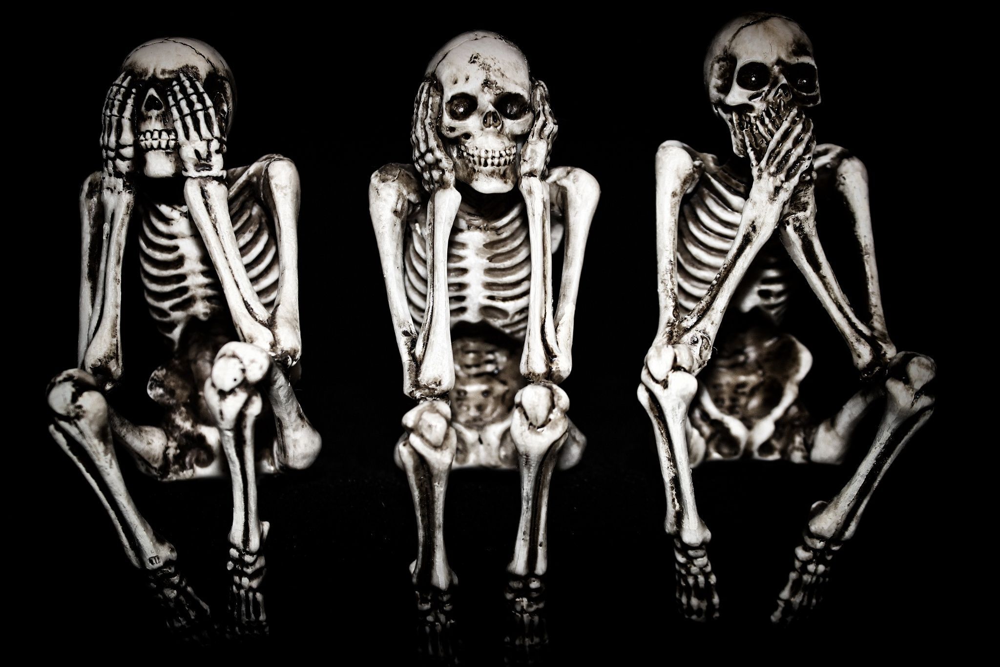 Страх с непонятным именем: что скрывает архозиофорбия?