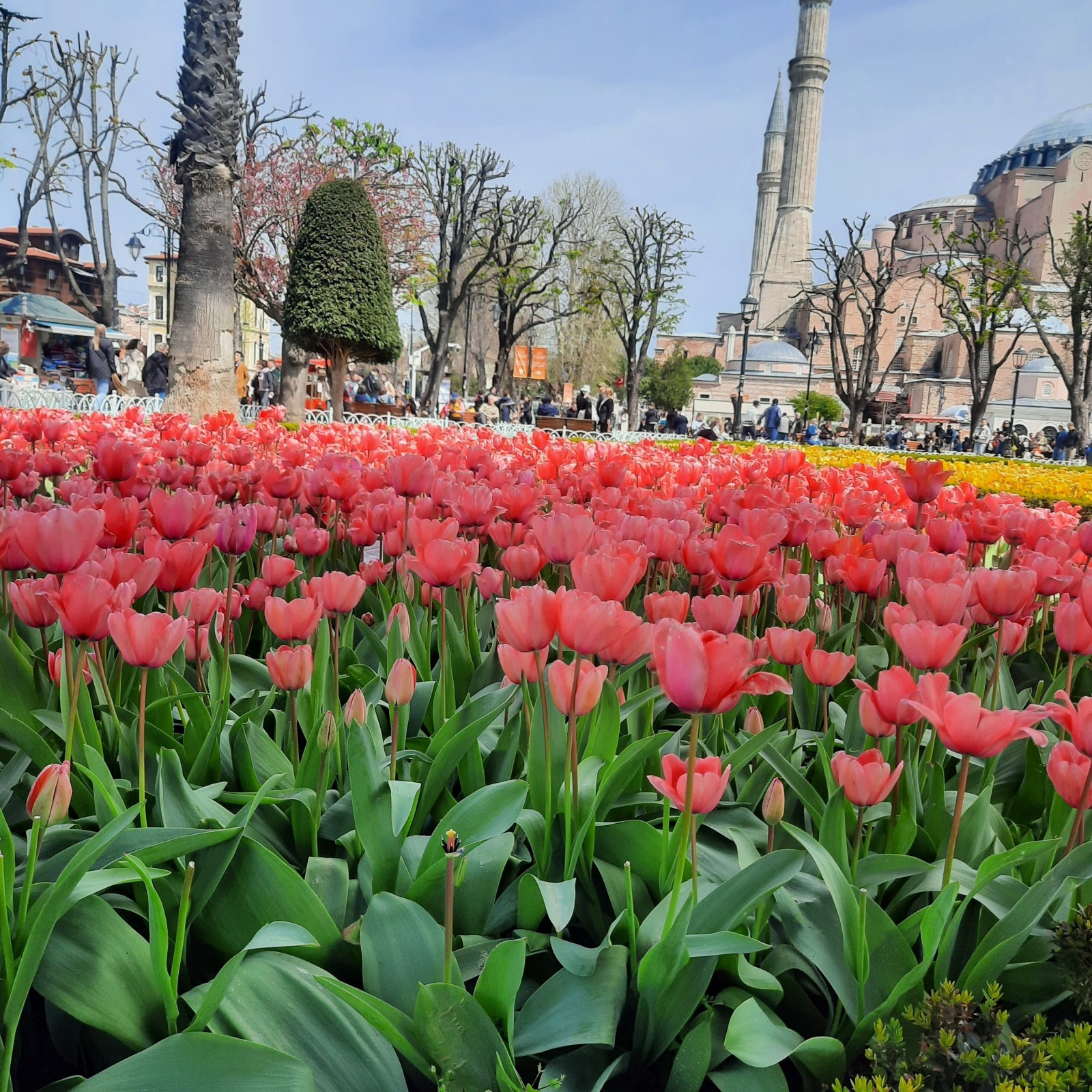 Как я потеряла "подругу" из за фотографий.