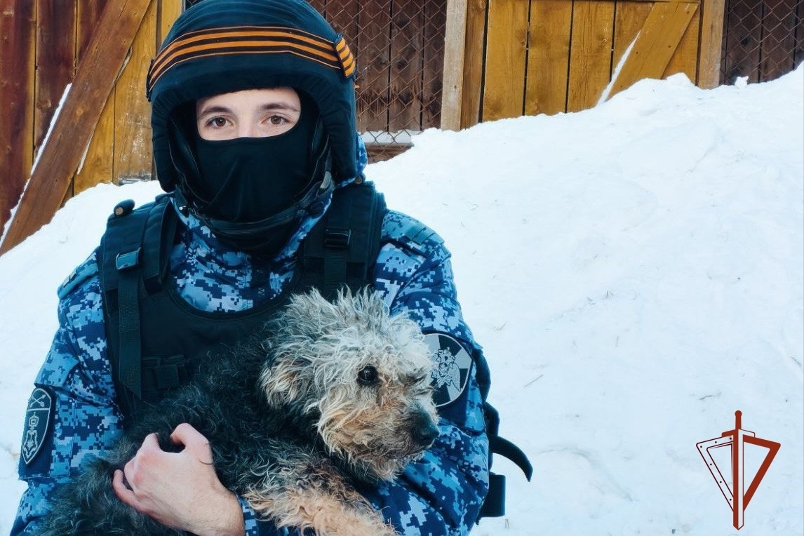 Помощь приюту для бездомных животных оказали сотрудники и военнослужащие Росгвардии в Новосибирске Помощь приюту для бездомных животных оказали сотрудники и военнослужащие Росгвардии в Новосибирске