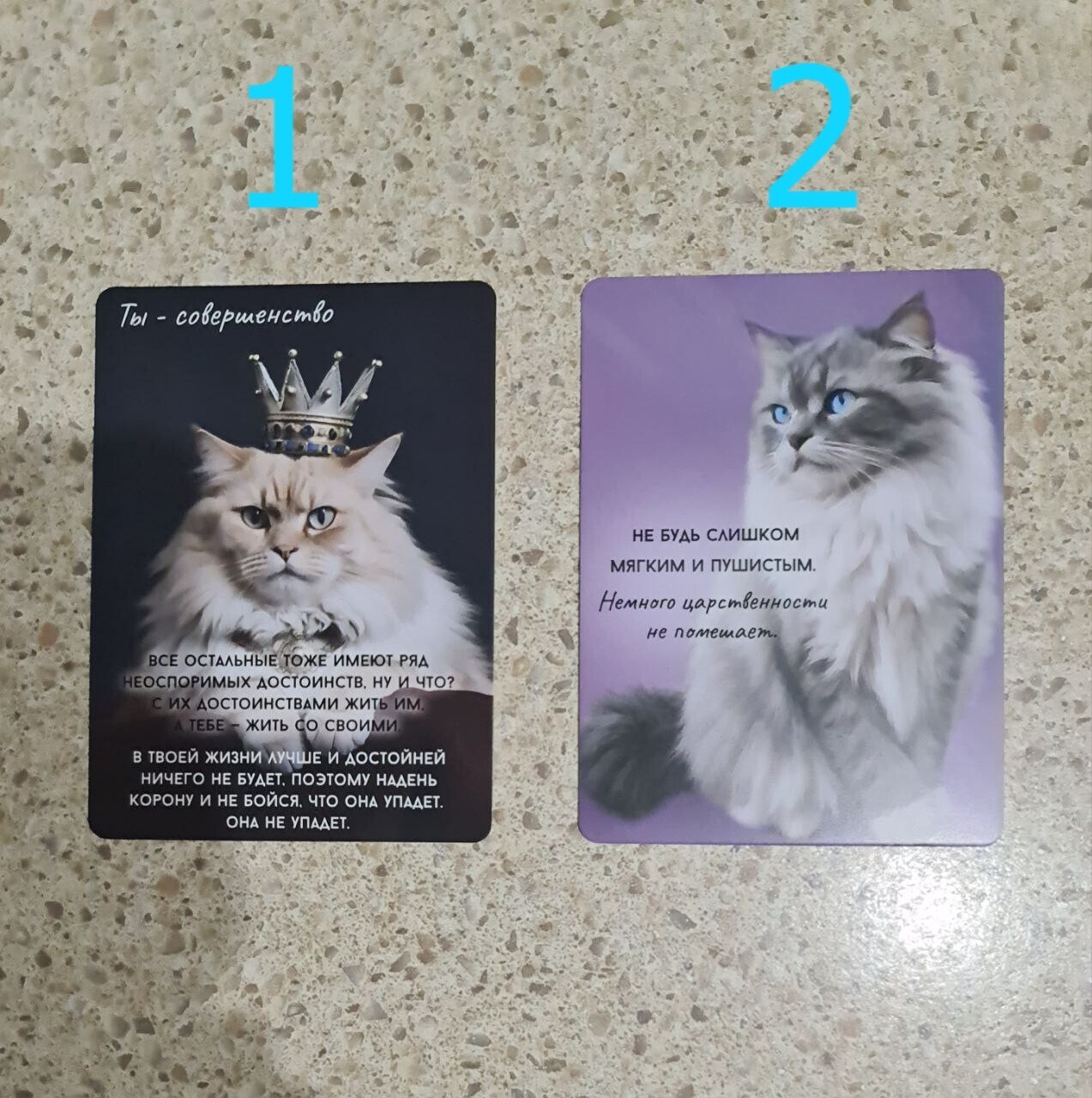 Прогноз-Расклад на Таро на декабрь