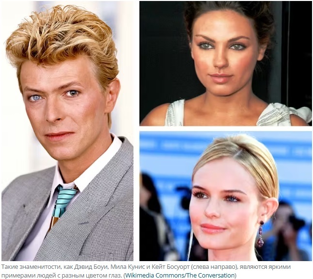 Почему голубые глаза на самом деле не голубые (и почему зелёные глаза — такая редкость)