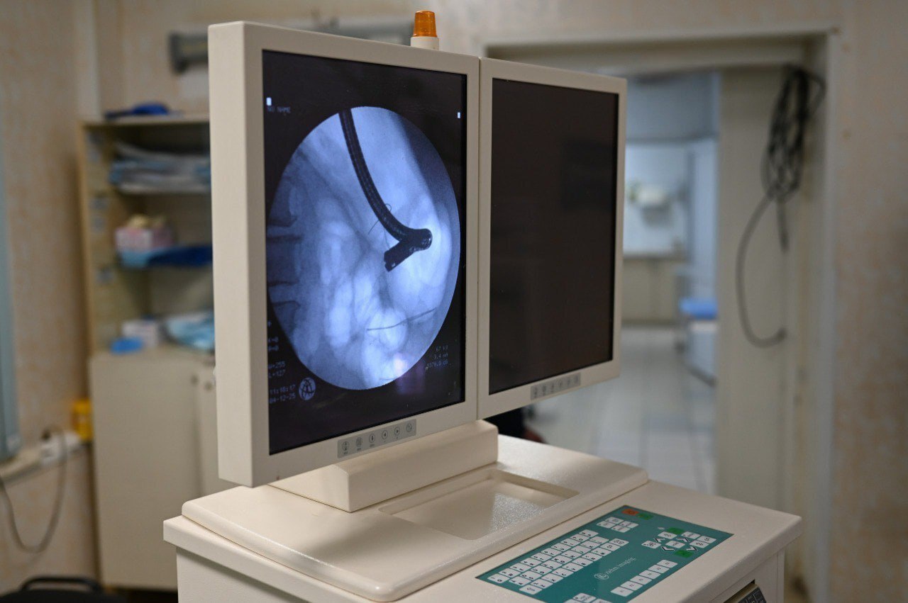 Сосиска-убийца: пенсионерка в Екатеринбурге чудом выжила