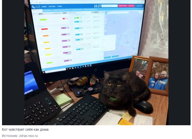 У врачей и работников новосибирских подстанций скорой помощи появились «живые антидепрессанты»