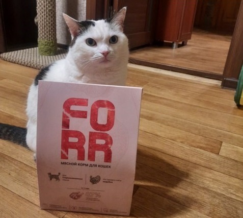 Какие товары я получила для блога за декабрь.