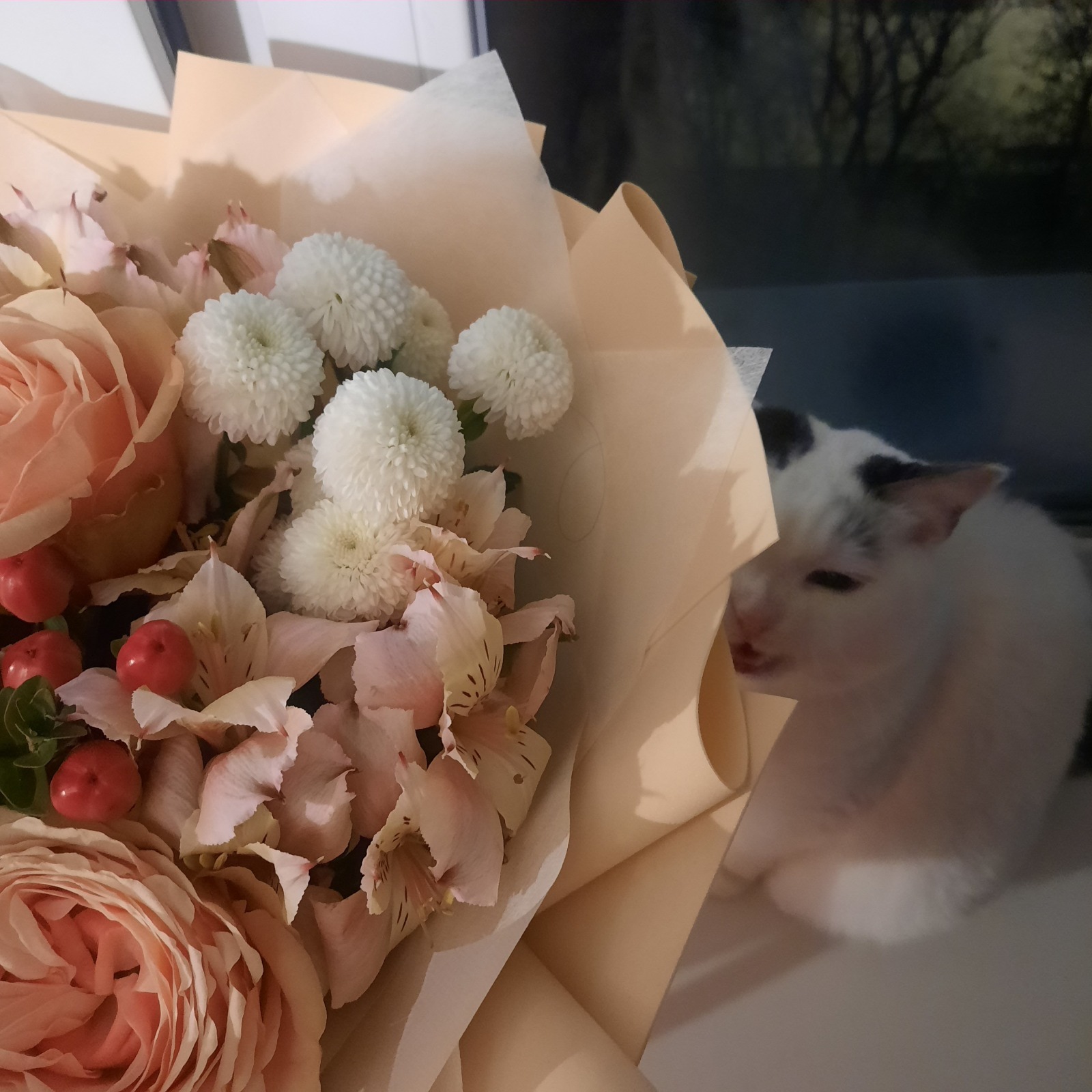 У свободной женщины должно быть 5 поклонников. Мнение "психологов".