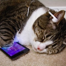 Александр, г. Чита