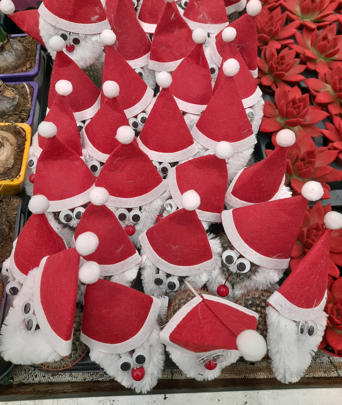 Хождение по ёлкам-3. В гипермаркете