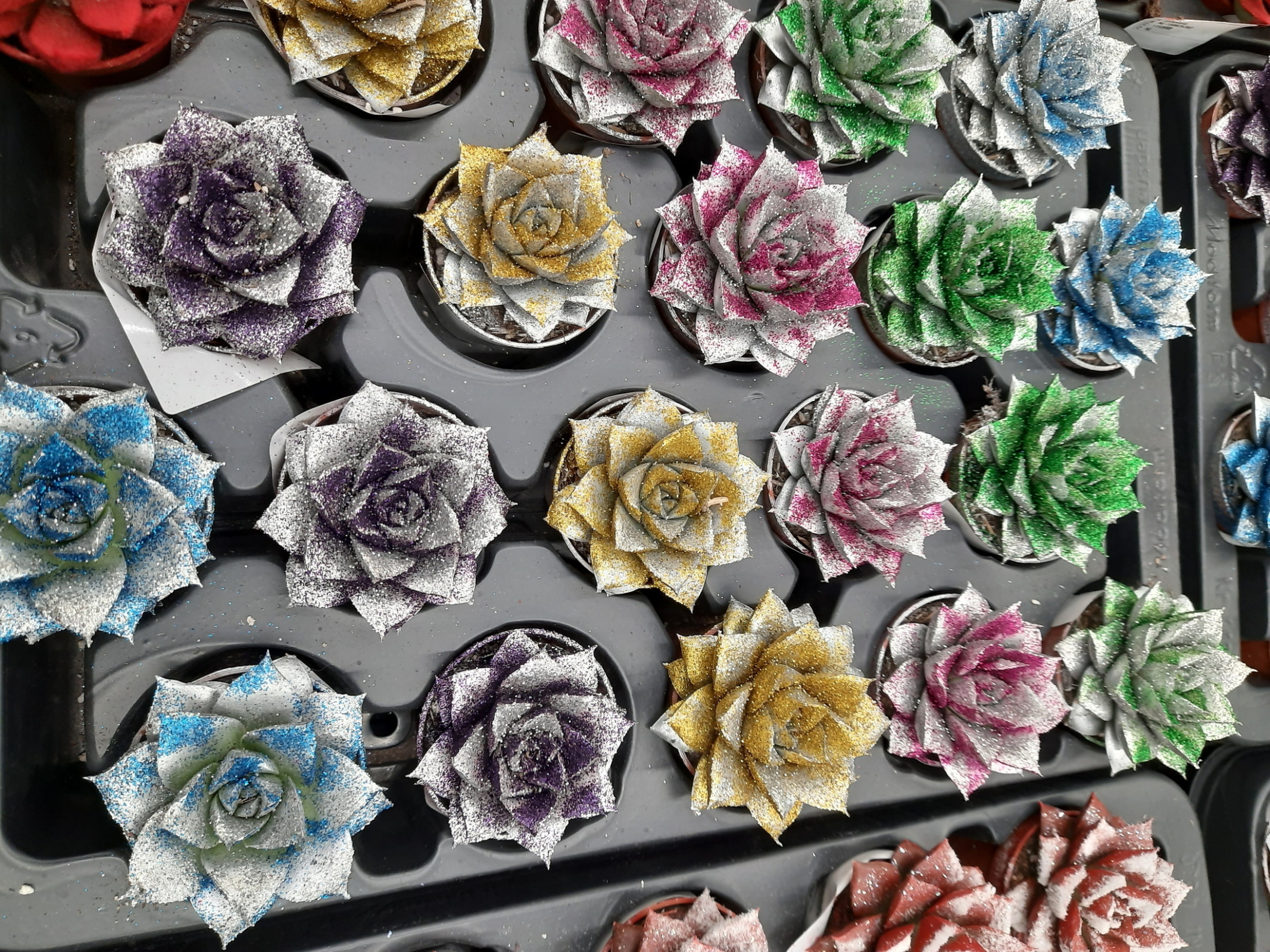 Хождение по ёлкам-3. В гипермаркете