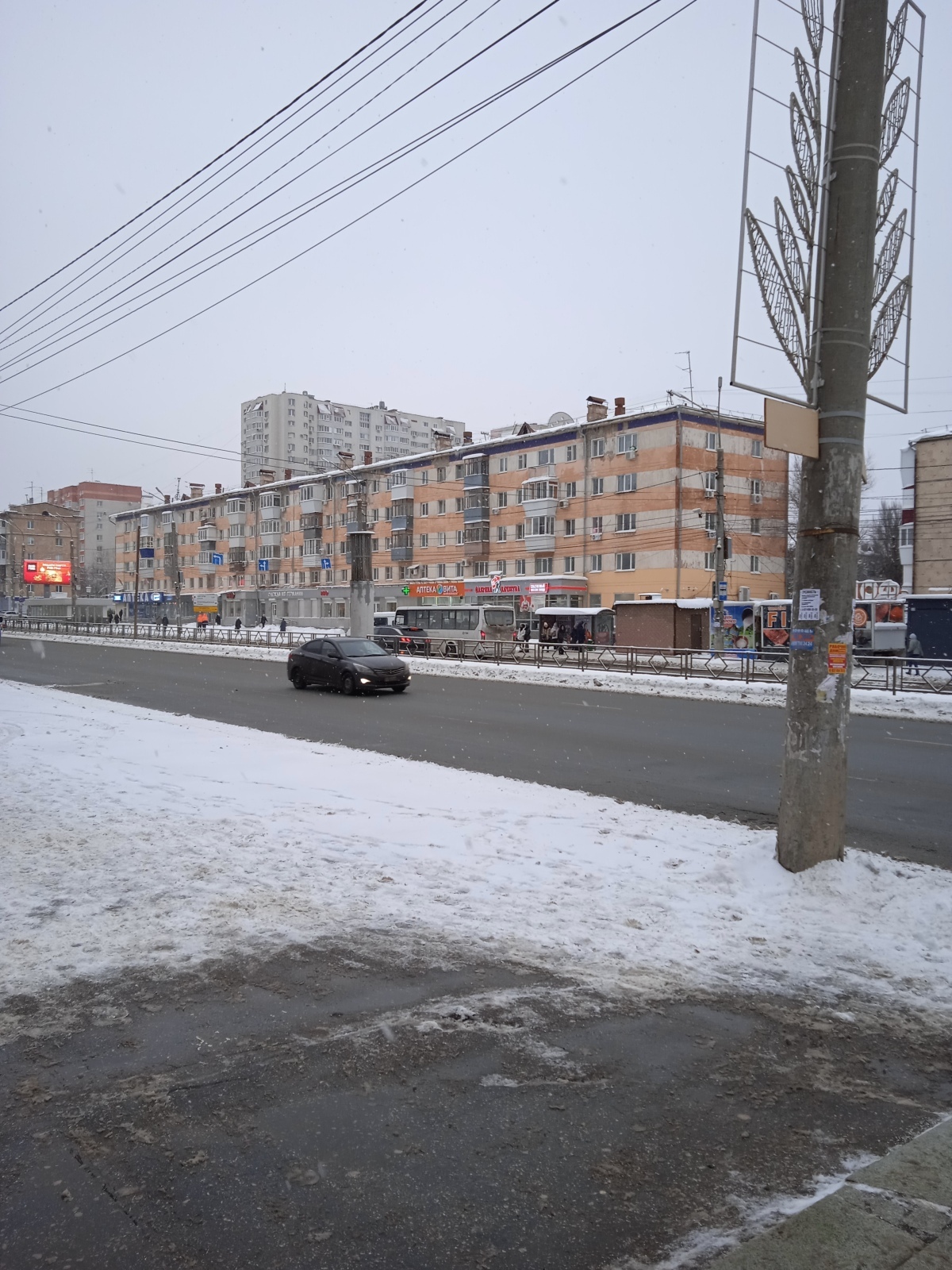 И снова про работу ЖКХ: зеленые насаждения вокруг дома, и кто за ними следит.