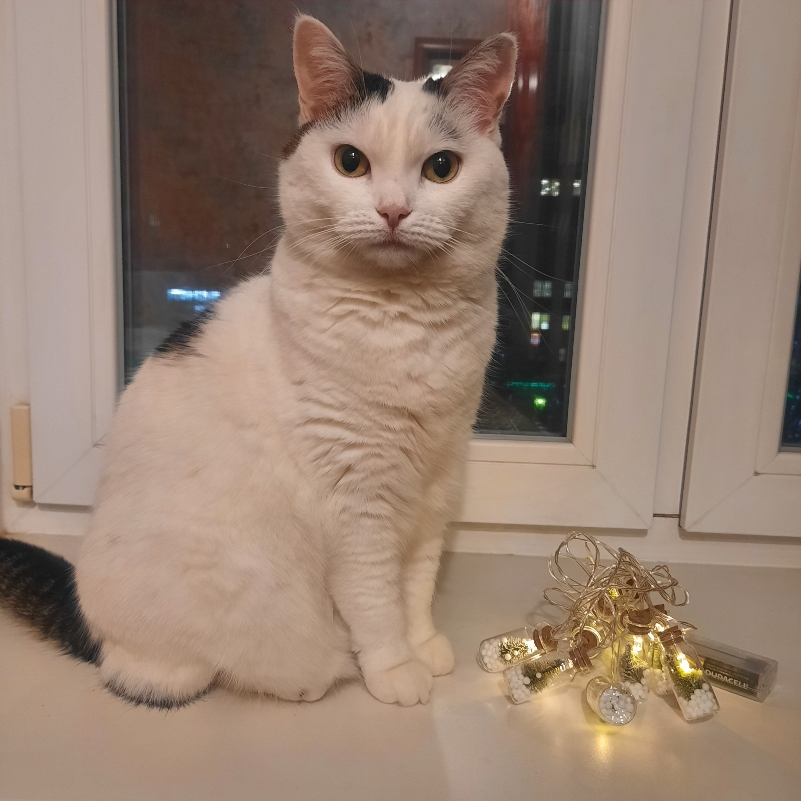 С Новым годом, дорогие читатели.