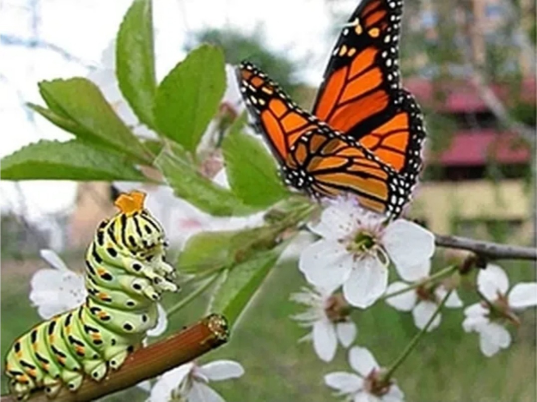 Действительно ли Новый год может быть новым?