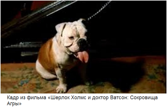 Собаки - любимые трогательные киногерои