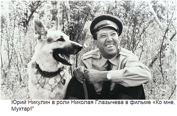 Собаки - любимые трогательные киногерои