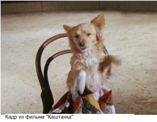 Собаки - любимые трогательные киногерои