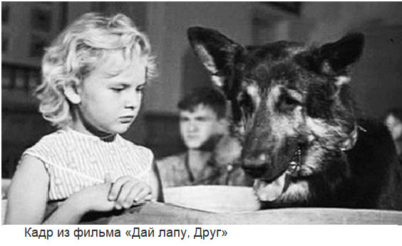 Собаки - любимые трогательные киногерои