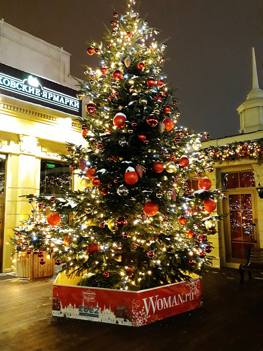 Интересная экскурсия. Новогодняя Москва (часть 1)