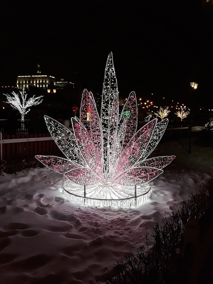 "Интересная экскурсия. Новогодняя Казань"