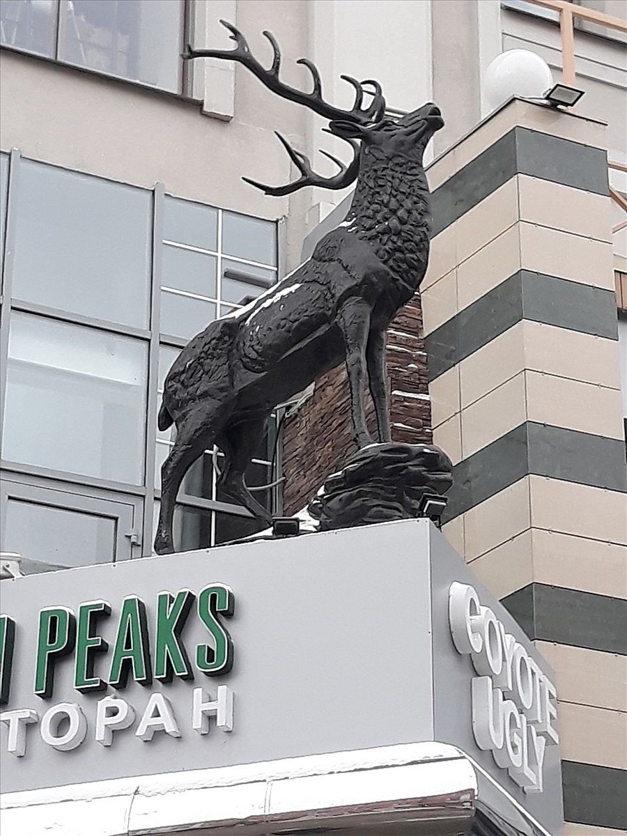 "Интересная экскурсия. Новогодняя Казань"