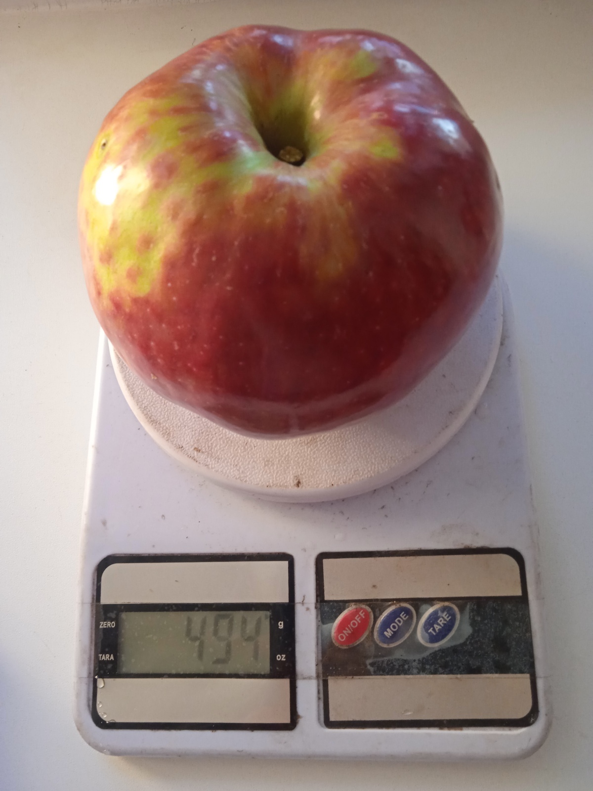 Яблоня Секаи Ши: описание сорта, характеристики. В чем изюминка сорта?