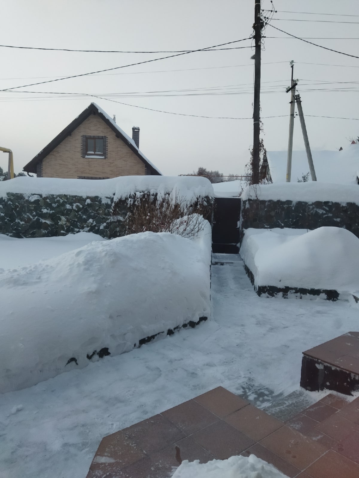 Как москвичи зарабатывают на снегопаде бешеные деньги