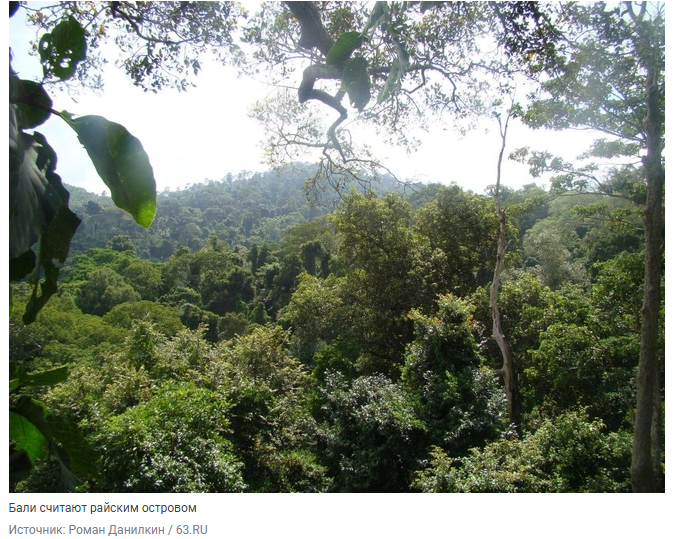 Турист прошёл обряд очищения на Бали и вернулся домой с серьёзной болезнью