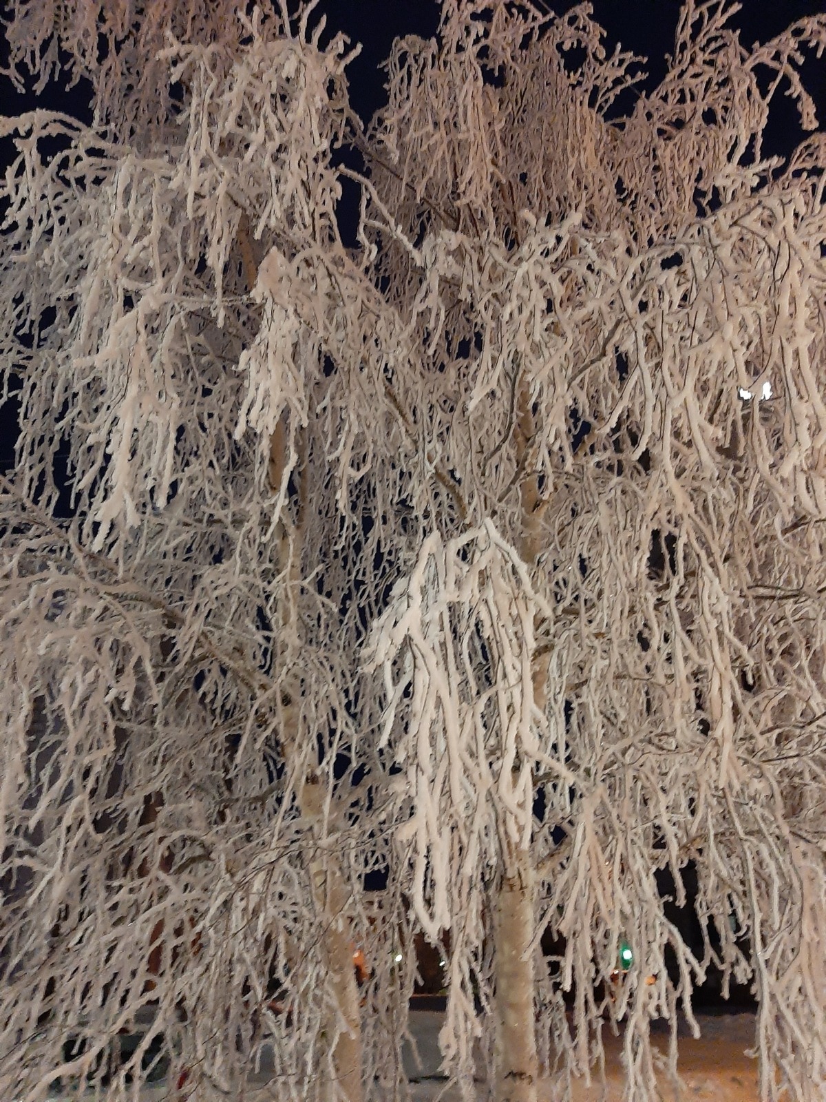 Новый мурал на острове Ягры и северные, зимние красоты: фотоотчет