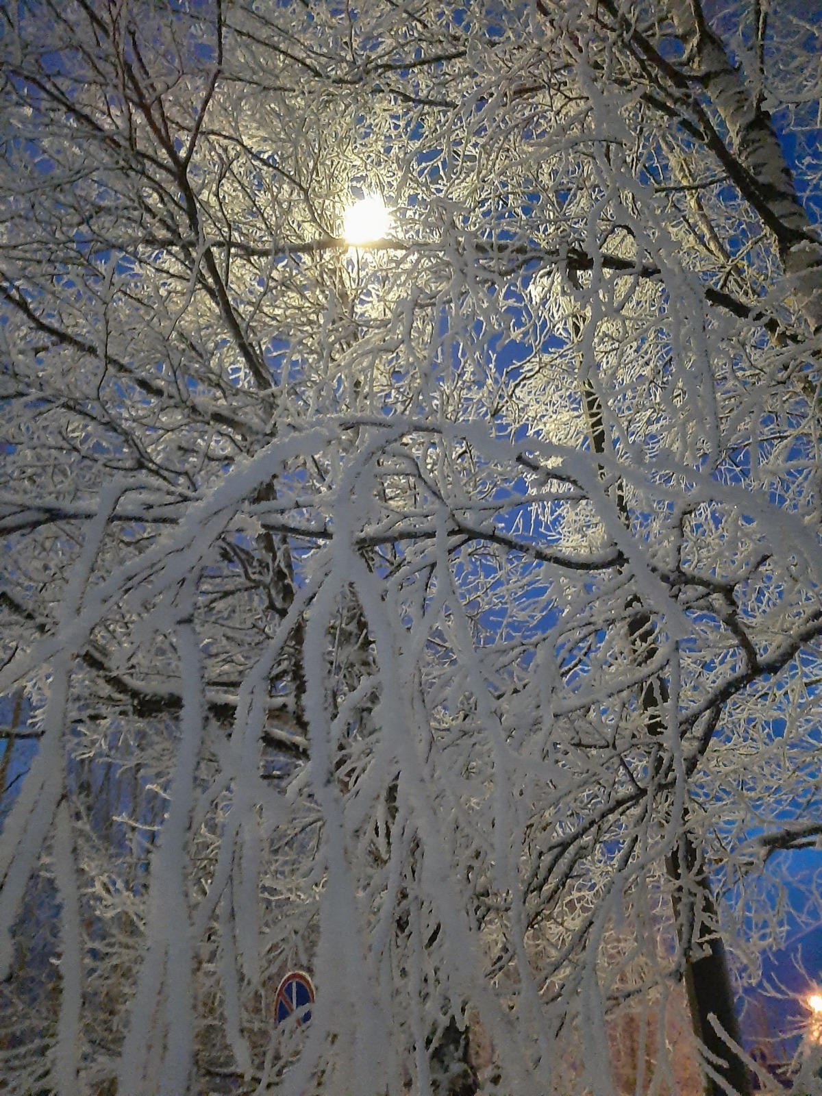 Новый мурал на острове Ягры и северные, зимние красоты: фотоотчет