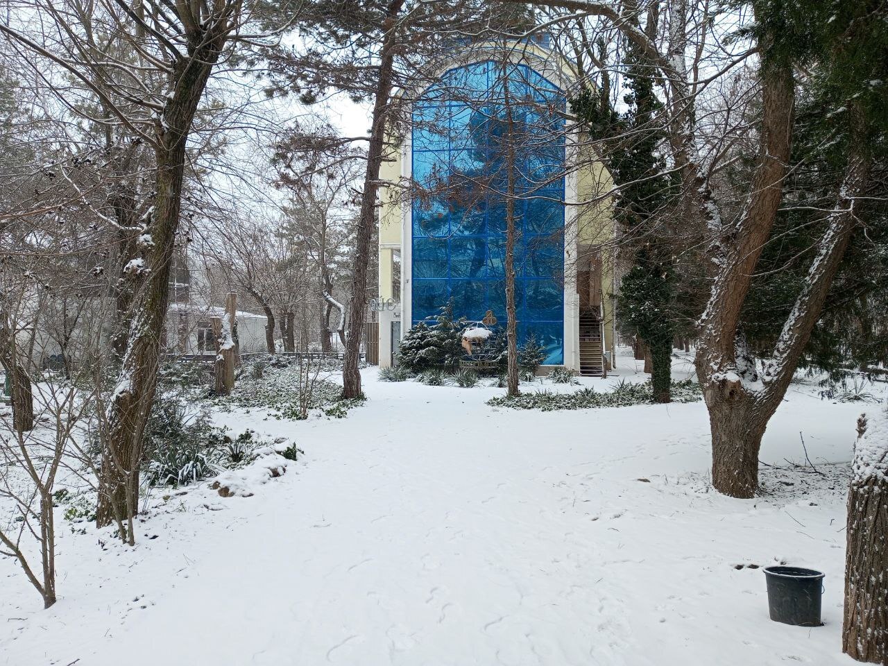 Снег в Крыму — не погода, а приглашение