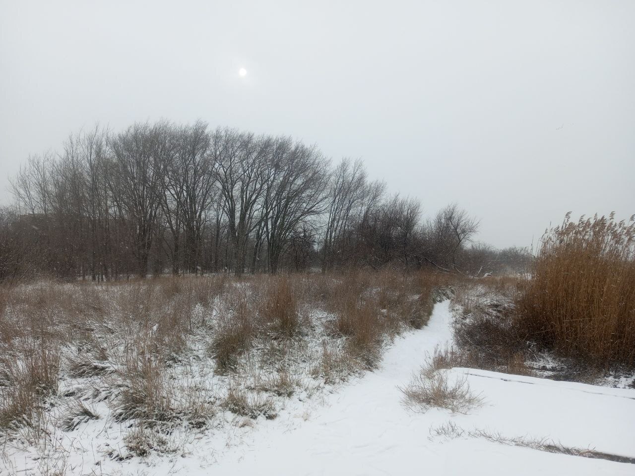 Снег в Крыму — не погода, а приглашение