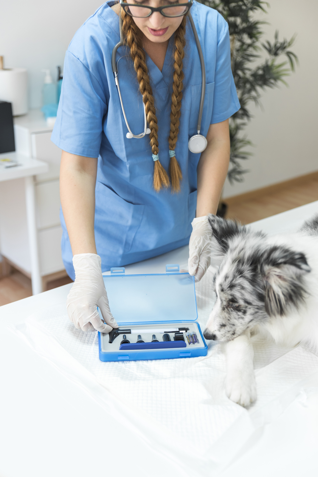 Они лечат кошек. А убивают подростков