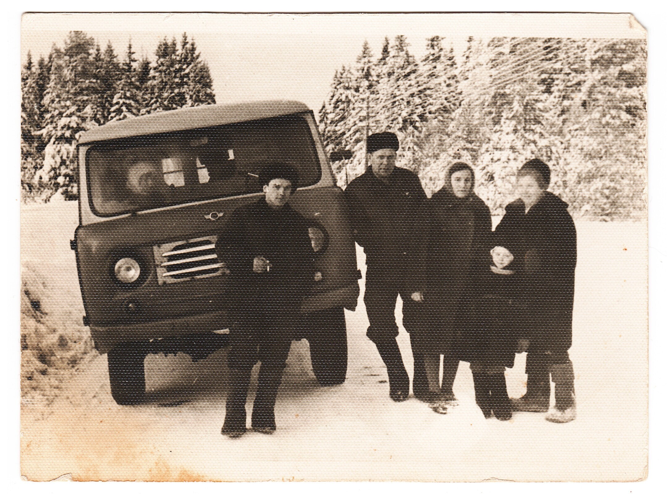 О тюльпанах, цветах, СССР, России, демографии и всём остальном. / Часть 1. «Меняю шубку на розы».