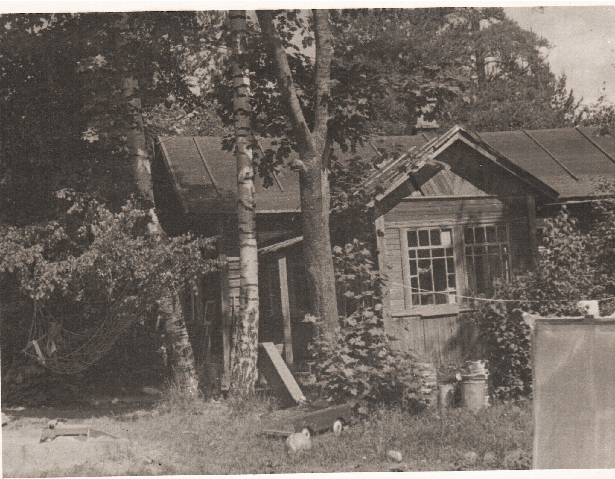 О тюльпанах, цветах, СССР, России, демографии и всём остальном. / Часть 1. «Меняю шубку на розы».