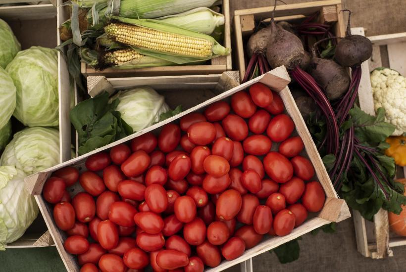 Красный корень: натуральная забота о сердце, эффективнее аптечных аналогов, проверенная временем, а не рекламой.