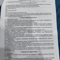IMG_2740.jpeg