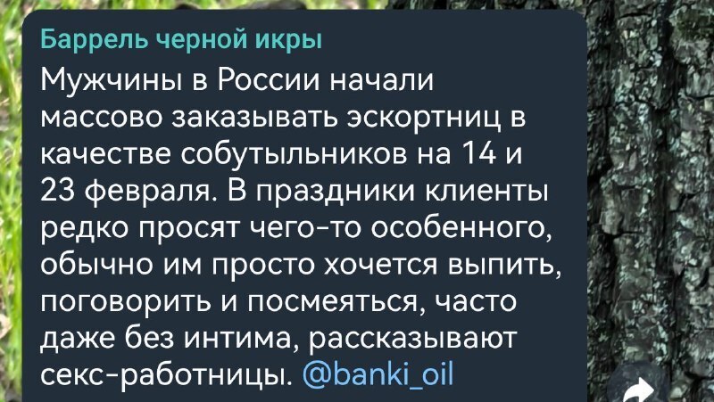 «Денег нет, но вы держитесь»: почему те, кто ноет про кризис, про дорогие огурцы, огромную коммуналку, платят "чужим" женщинам 300 тысяч к 14 февраля?