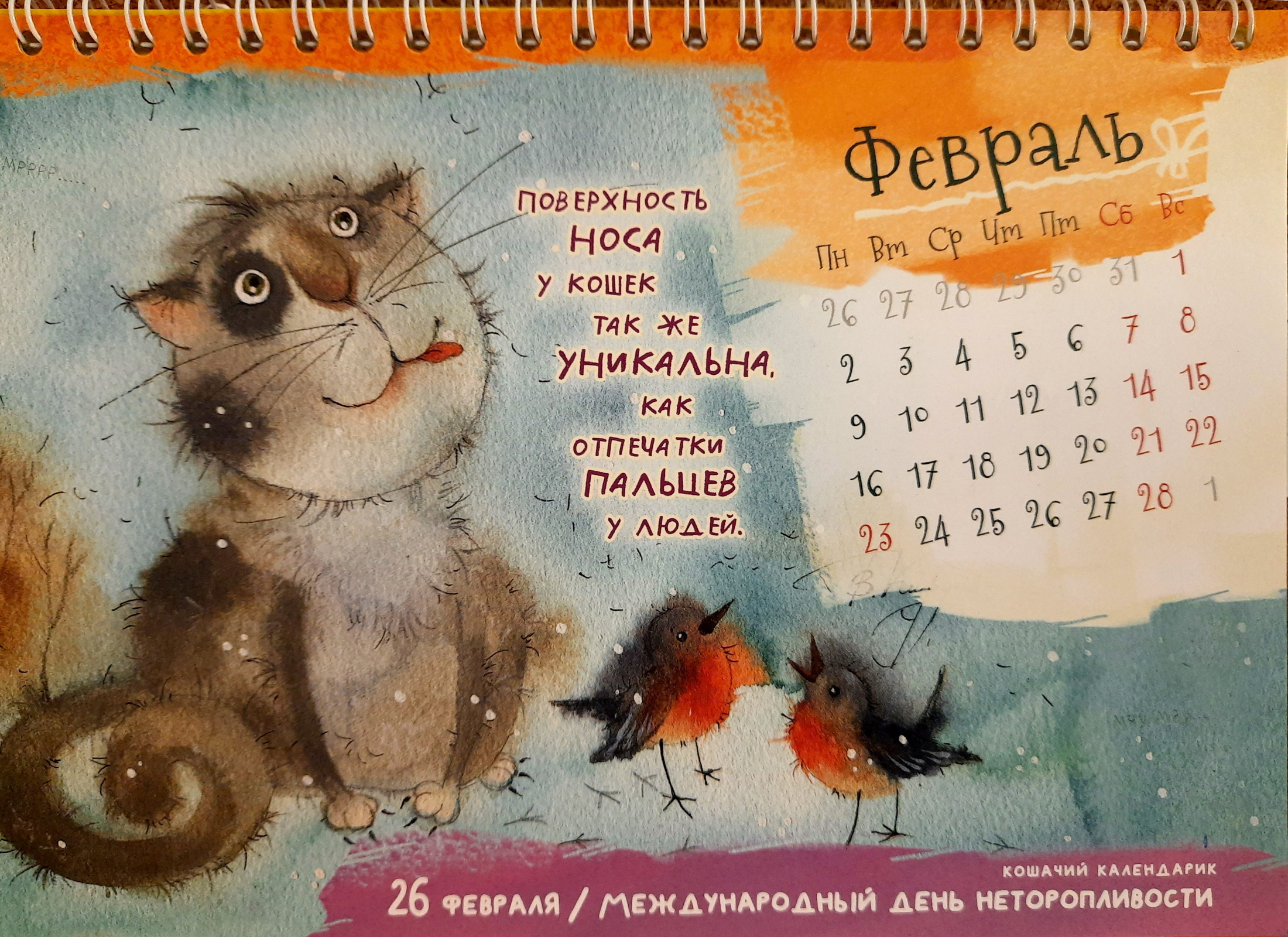 Не будем торопиться!