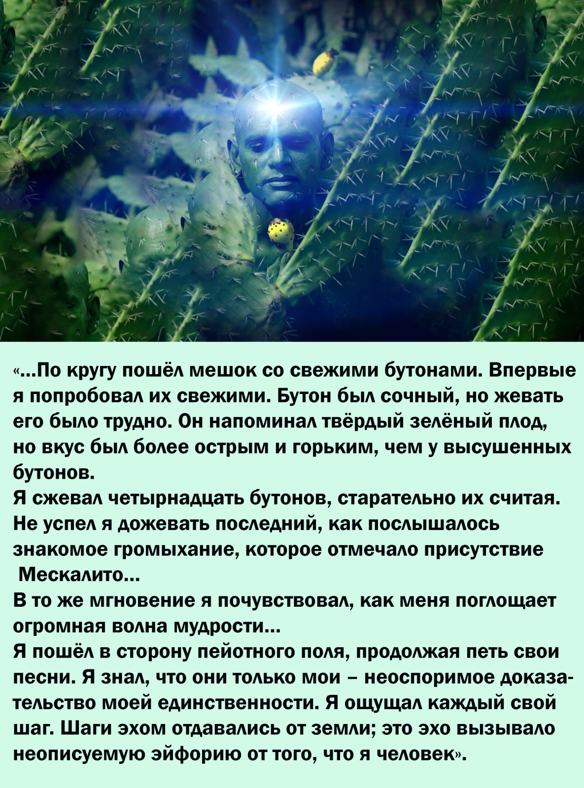 Уникальные эксперименты с сознанием. От А. Хофмана к К. Кастанеде или от Кастанеды к Хофману?