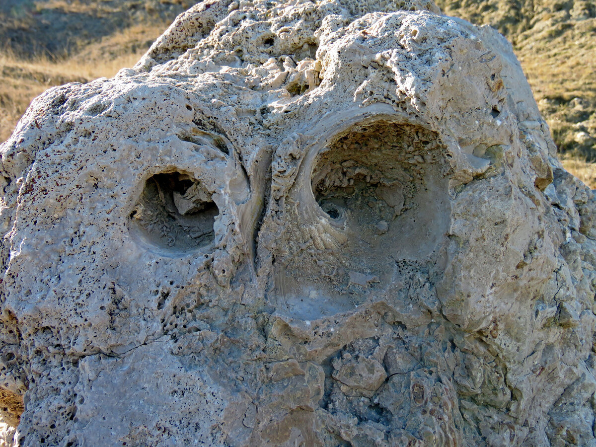 Окаменелые кораллы и камень Сова. Двуякорная бухта. Часть 3.