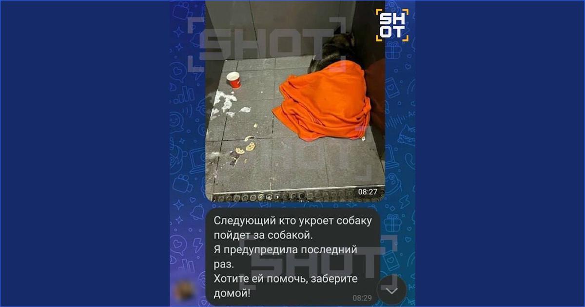 Додо на грани закрытия?