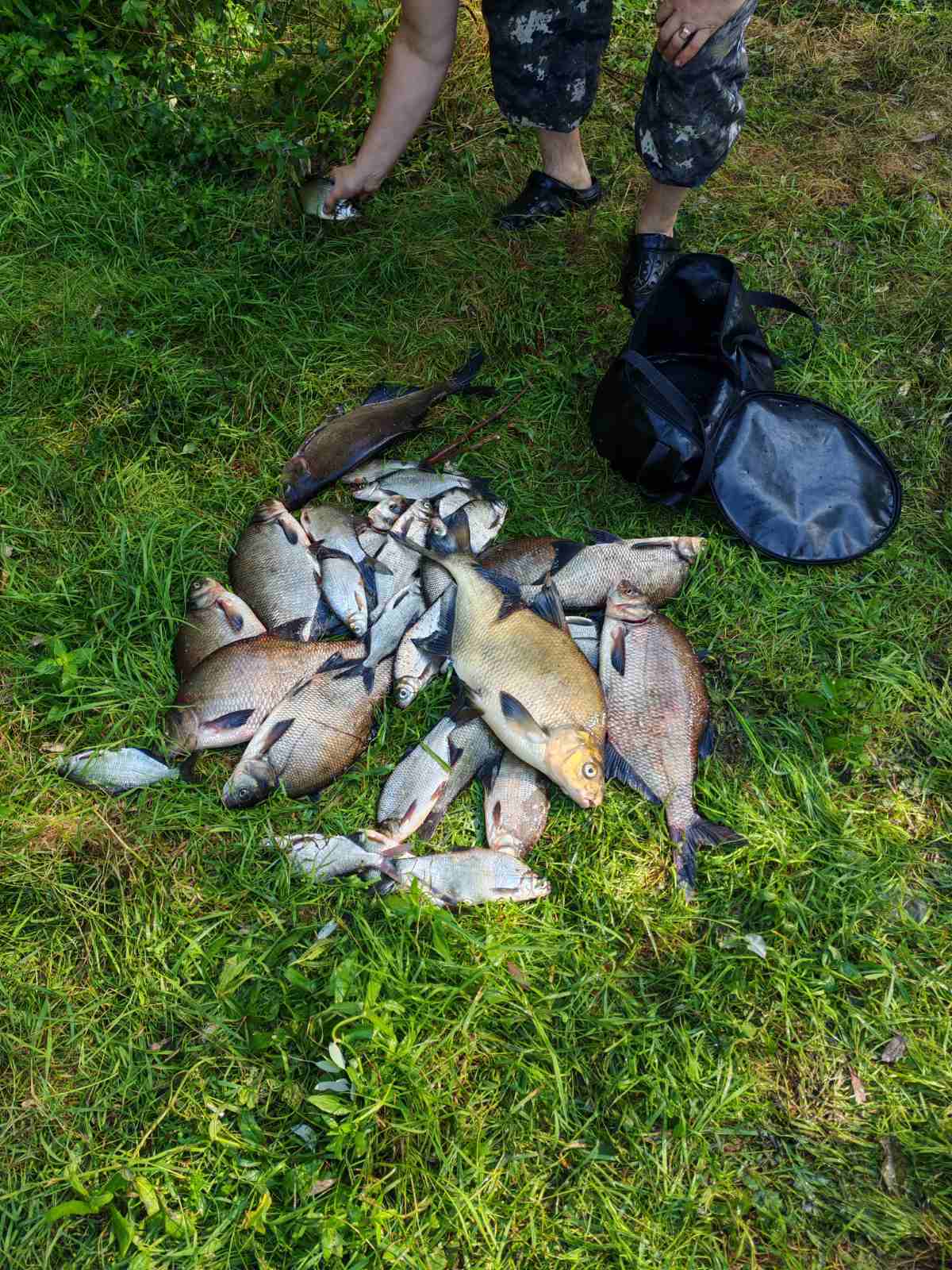 🎣 Топ-5 ненужных вещей на рыбалке: что только занимает место в рюкзаке.