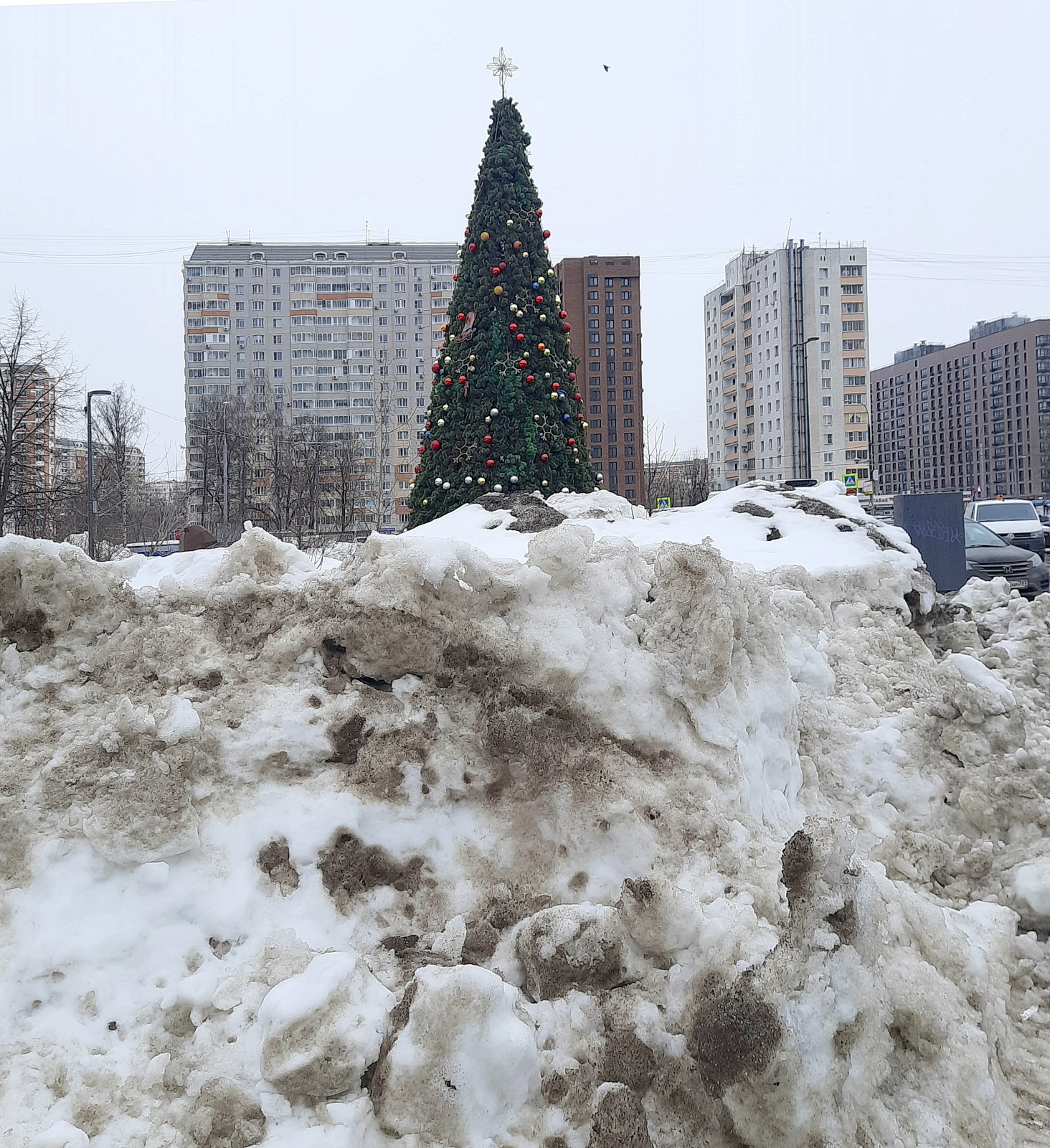Новая весенняя примета в Москве